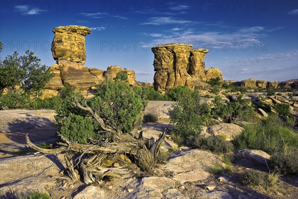 Canyonlands National Monument