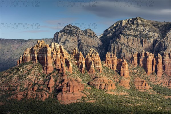 The Red Rocks of Sedona