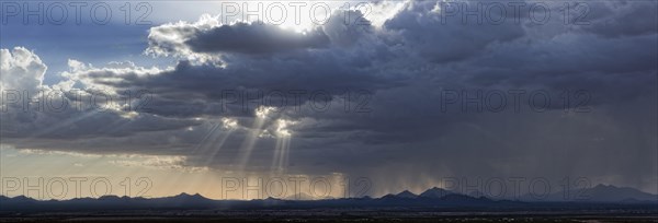 Sonoran Desert Squall