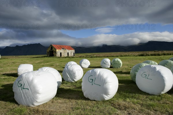 Hay Harvested and Wrapped for Moisture Control and Fermentation