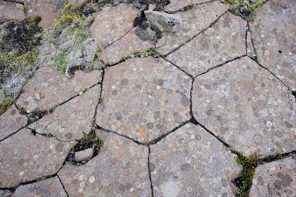 Columnar Basalt Revealing Hexagonal Structure