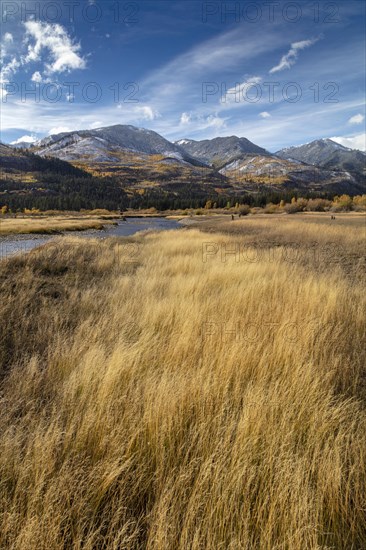 Autumn in San Juan National Forest