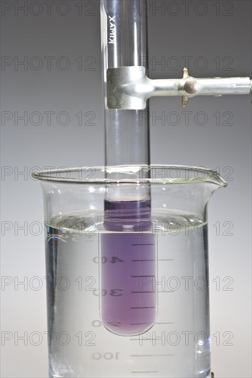 Cobalt Chloride Solution at Room Temperature