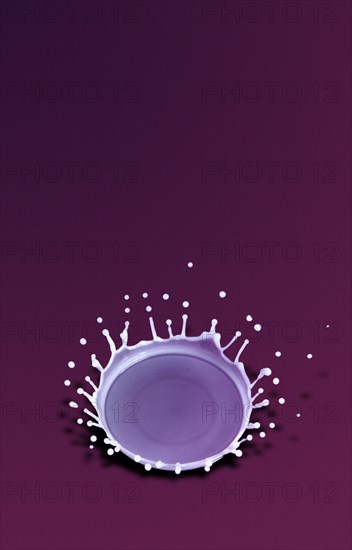 High Speed Capture of a Milk Splash