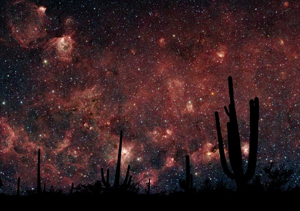 Milkyway Desert