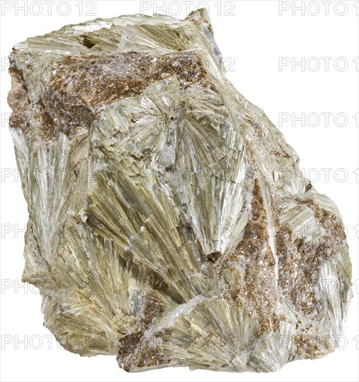 Actinolite