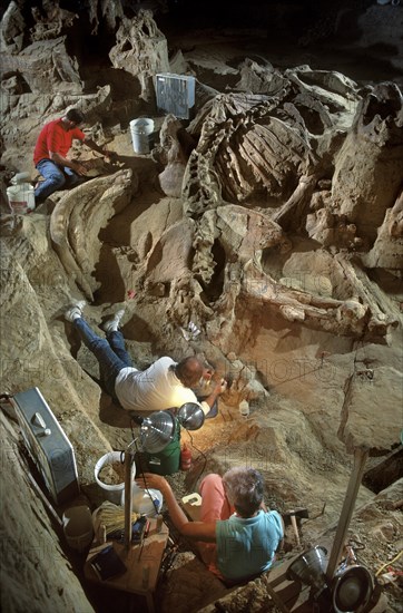 Paleontologists Excavating Colombian Mammoth Remains