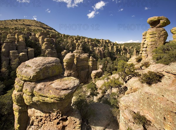 Land of the Standing-Up Rocks