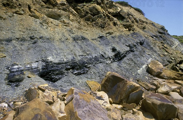 Bituminous Coal Vein Exposed Strata