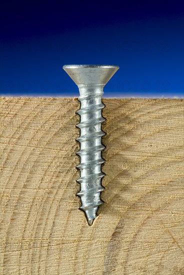 Wood Screw Cross Section Showing Threads