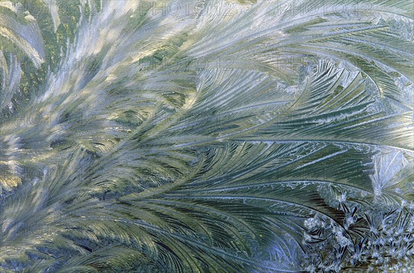 Frost on the Window