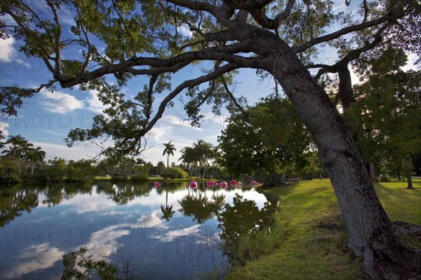 Fairchild Tropical Botanic Garden is a 33 ha