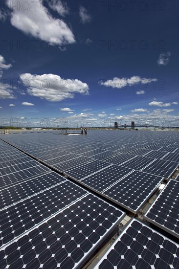 Solar Panels Collecting Sunlight