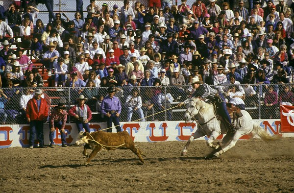 Calf Roping Contest