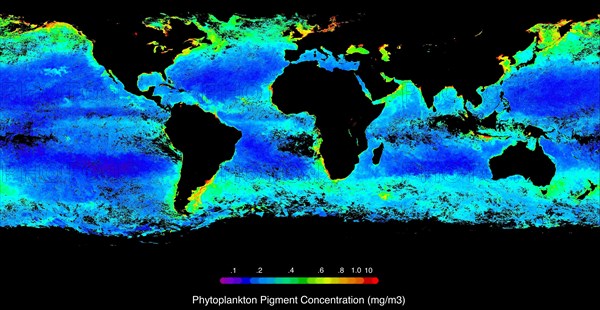 Phytoplankton Ocean Map