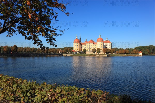 Moritzburg Castle