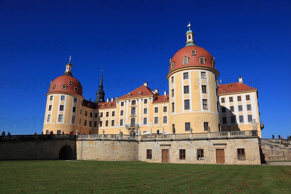 Moritzburg Castle