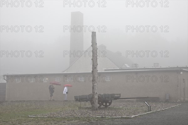 Stake and cart with crematorium in the fog at beech forest concentration camp