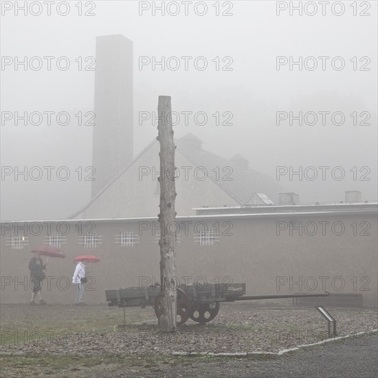 Stake and cart with crematorium in the fog at beech forest concentration camp