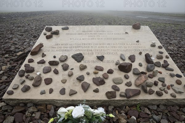 Memorial plaque for woman and girls in beech forest concentration camp