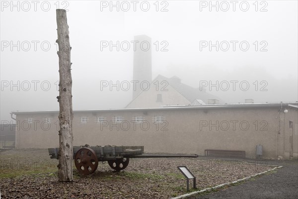 Stake and cart with crematorium in the fog at beech forest concentration camp