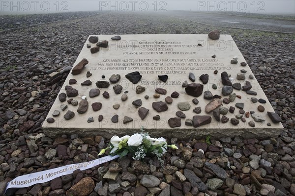 Memorial plaque for woman and girls in beech forest concentration camp