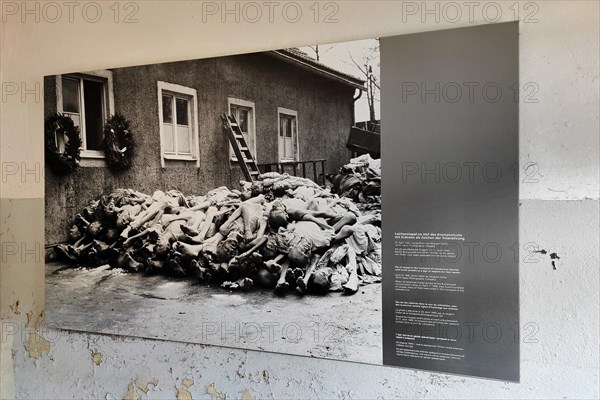 Historical photo of corpses in the crematorium of the camp