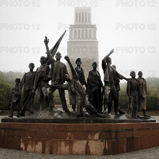 Beech forest Memorial