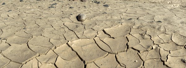 Clay soil with dry cracks