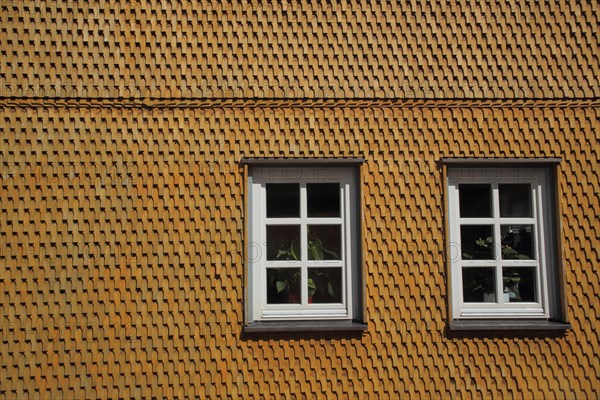 House wall made of wooden shingles with two windows in Bischofsheim