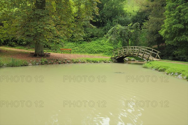 Pond with wooden bridge