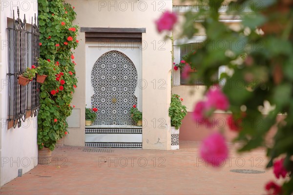 Idyllic Calle Manuel Cancho Moreno with mosaic and floral decoration in Badajoz