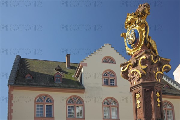 Market fountain and old town hall on Schlossplatz