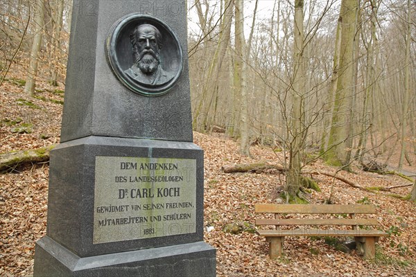 Monument to geologist Carl Koch 1827-1882 in Nerotal