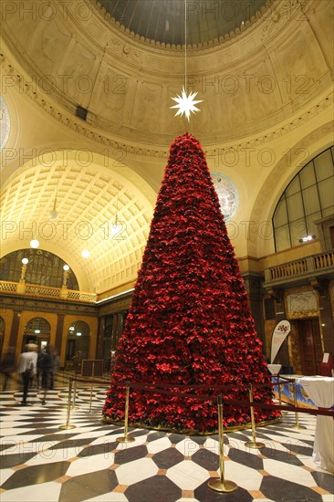 Christmas tree in the foyer of the spa hotel in Wiesbaden