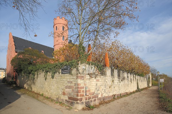 Crass Castle in autumn in Eltville im Rheingau