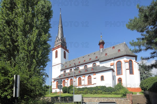 Late Gothic St. Mark's in Erbach