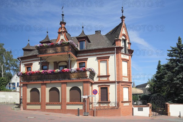 Idyllic villa in Hattenheim