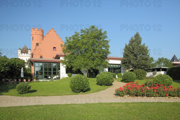 Crass Castle and Electoral Castle in Eltville