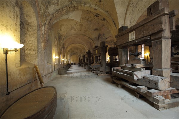 Lay refectory with historic wine presses at UNESCO Eberbach Monastery