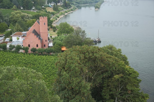 View from above of Crass Castle in Eltville am Rhein