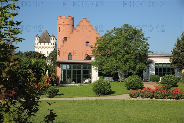 View of the tower of the Electoral Castle and Crass Castle in Eltville
