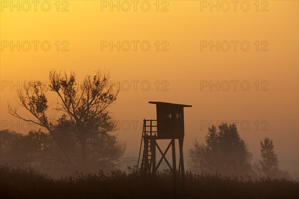 Raised stand for hunting roe deer in morning mist at sunrise in field