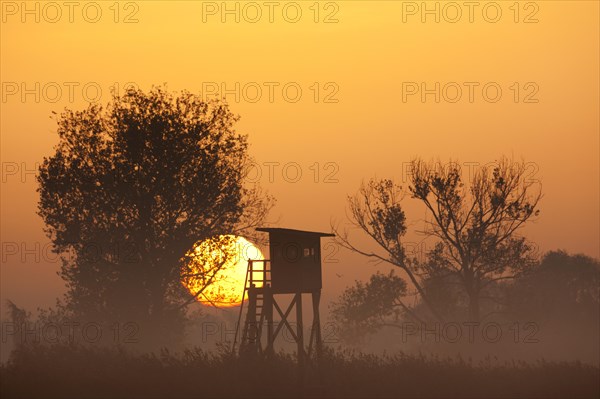 Raised stand for hunting roe deer in morning mist at sunrise in field
