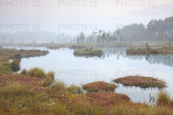 Pond in moorland of the Knuthoejdsmossen