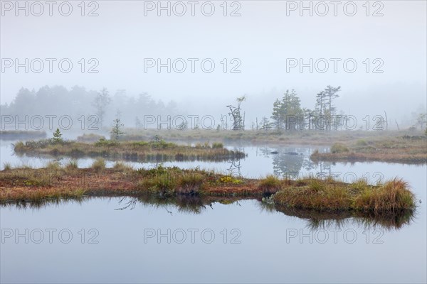 Pond in moorland of the Knuthoejdsmossen