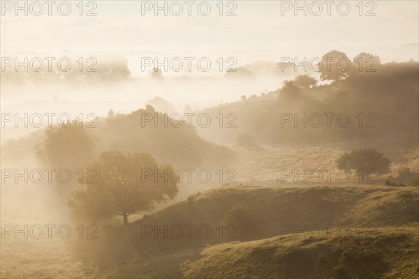 Early morning mist at sunrise in the hills of Broesar backar