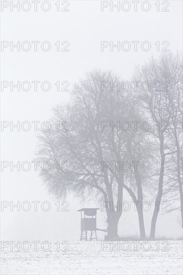 Raised hide under tree in snow covered field in the mist in winter