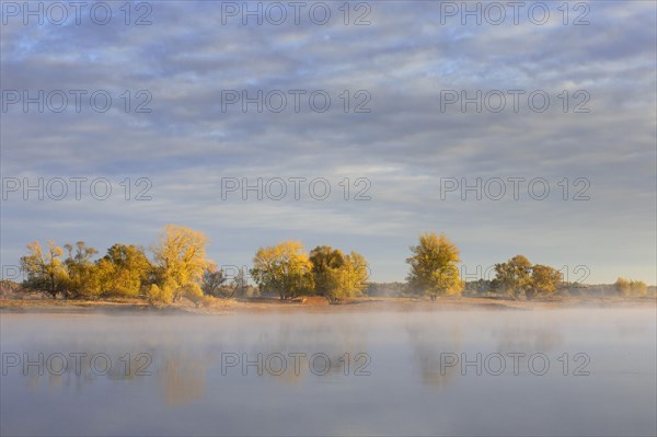 Early morning mist over river Elbe