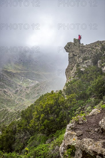 Female tourist looking over valley from cliff in the mist at the Macizo de Anaga national park on the island of Tenerife in the Canary Islands